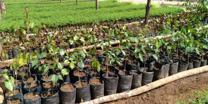 Feria de agronegocios, en Antioquia