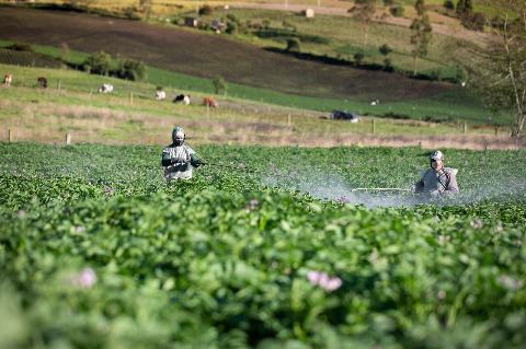 Desempleo rural aumentó en 250 mil personas