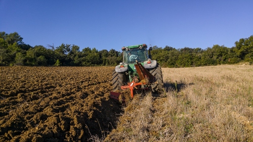 Desafíos para Colombia en el mercado internacional agrícola