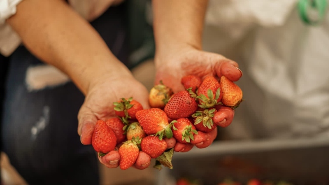 Agencia de Desarrollo Rural abrirá convocatoria para el desarrollo campesino