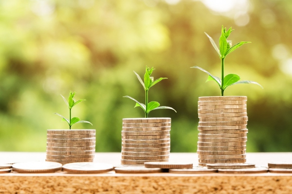 CREO: la línea de crédito que también es para el agro