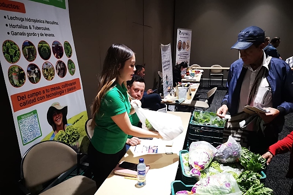 Lanzan clúster de seguridad alimentaria en Bogotá