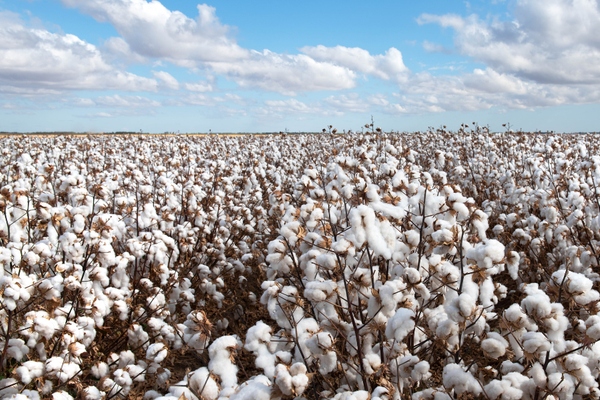 Brasil: exportaciones del agro baten récord en primer trimestre de 2024