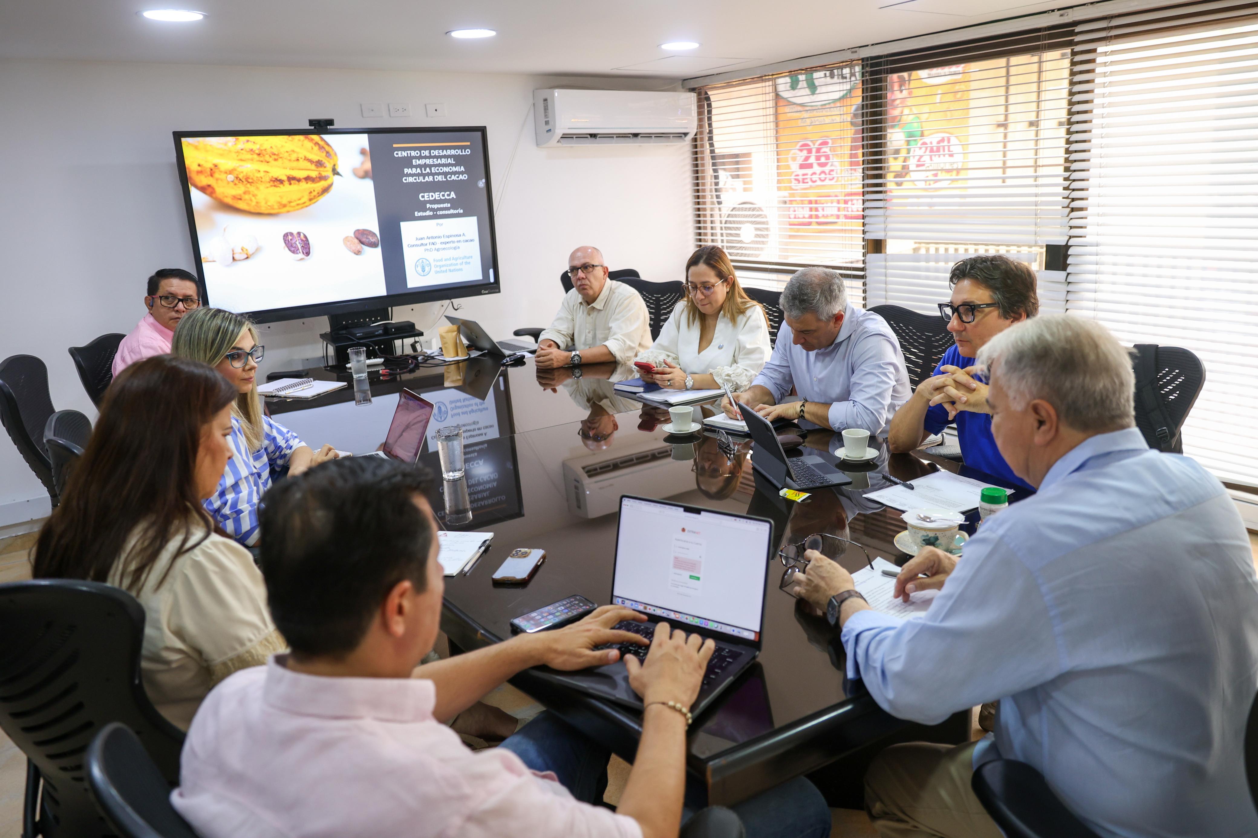 Huila llevará su potencial cacaotero a foro global de inversión de la FAO