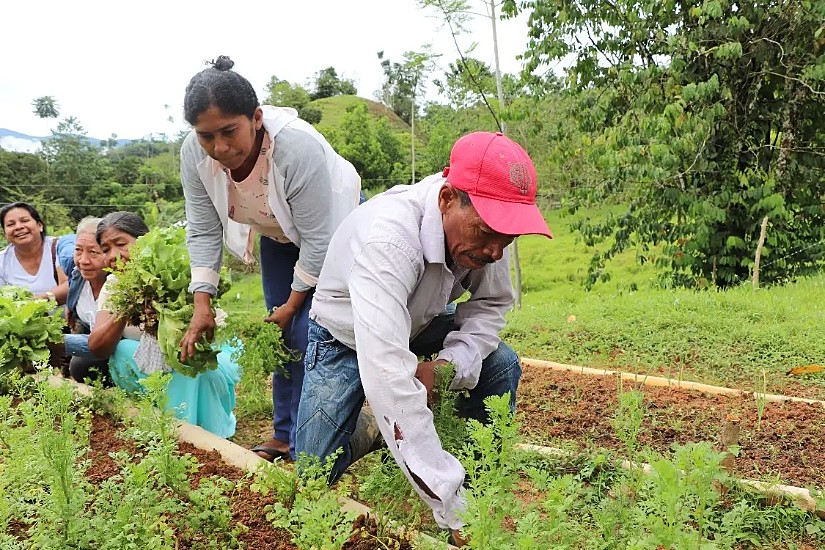 En Córdoba, avanza la transición agroecológica