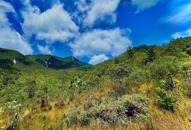 Más de 50 mil hectáreas de ecosistemas estratégicos fueron protegidas en Antioquia 