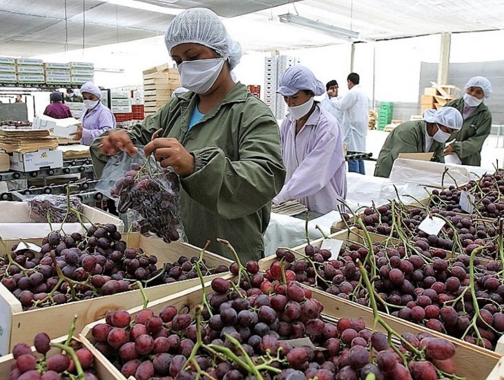 Agroexportaciones de Perú superaron los US$ 13,300 millones en 2025