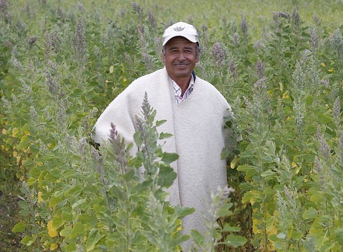 Abren nueva convocatoria para el Fondo FINCA en Boyacá