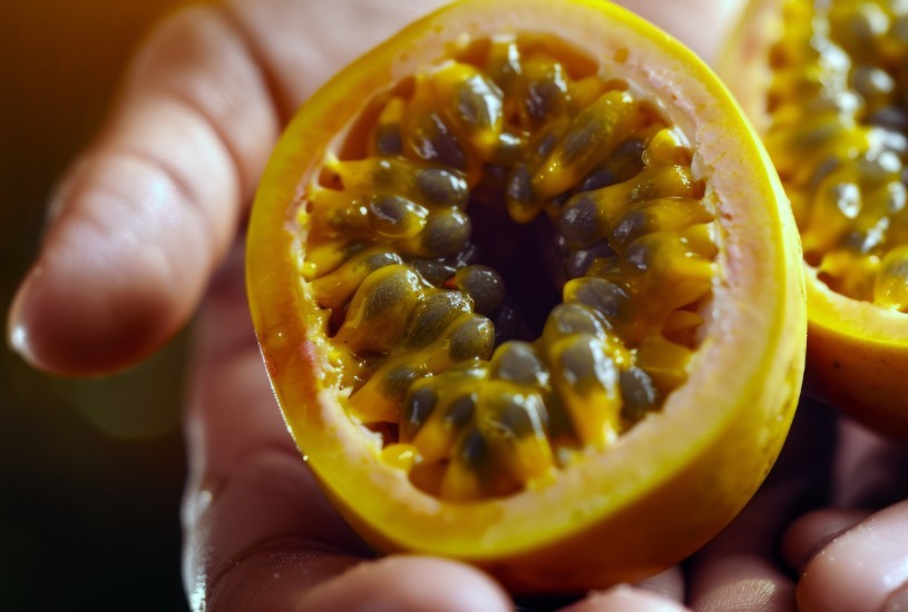 Subieron precios de las frutas, a 20 de marzo de 2026