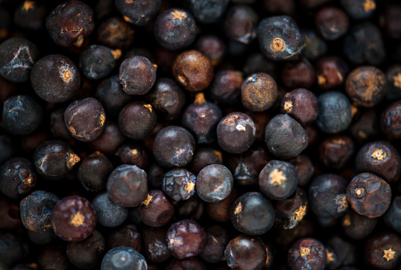 Sabores del Amazonas llegan al Parque Alcalá, en Bogotá