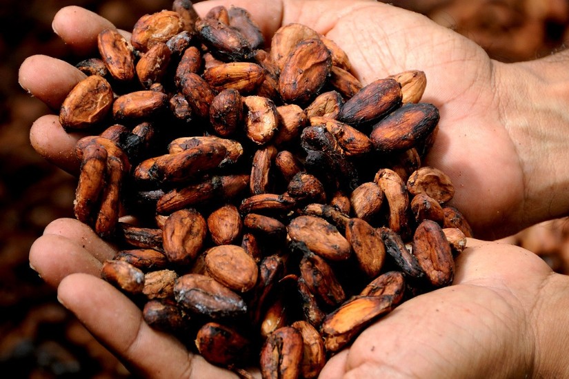 Asista a Unritual Cacao Week, hasta mayo 22, en Bogotá
