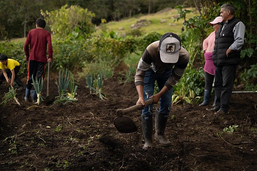 ’La Granja del PAE’: estrategia que transforma huertas escolares en Boyacá